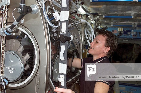 Astronaut Peggy A. Whitson  Expedition Five flight engineer  works with the Microgravity Science Glovebox (MSG) in the Destiny laboratory on the International Space Station (ISS).