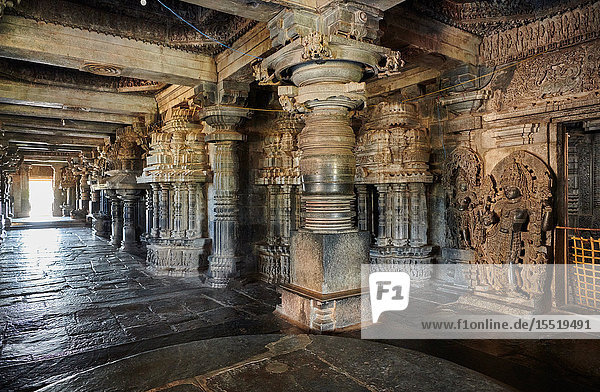 Halebid Jain-Tempel  Hassan  Karnataka  Indien