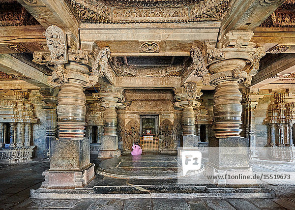 Halebid Jain Temple  Hassan  Karnataka  India