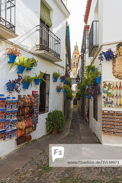 Calleja De Las Flores famous flower pot lined street in the historic centre Cordoba Andalusia Spain.