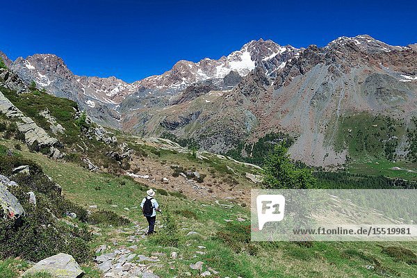 Hiker on the trail toward Alpe Zana in front of Mount Disgrazia Valmalenco Province of Sondrio Lombardy Italy Europe.