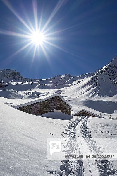 Ski mountaineering in Rhemes Valley Gran Paradiso Natural Park: the Entrelor Alp and the Entrelor peak (Rhemes-Notre-Dame Rhemes Valley Aosta province Aosta Valley Italy Europe).