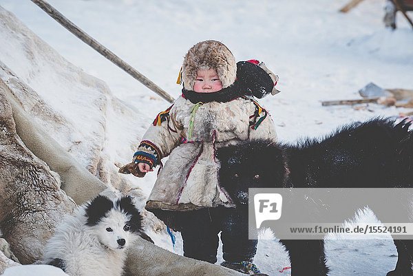 A small boy with dogs at the nomadic reindeer herders camp. Polar Urals Yamalo-Nenets autonomous okrug Siberia Russia.