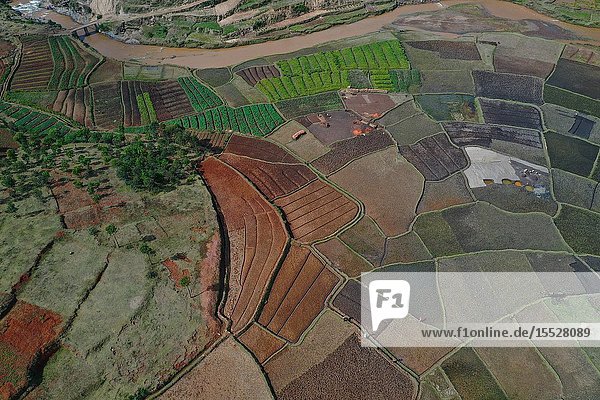 Vegetable cultivation and brick making on the rice fields, National Route RN7 between Antsirabe and Antananarivo, Madagascar.