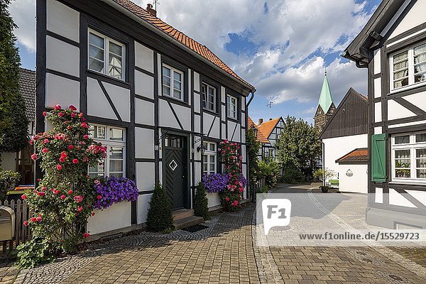 Herten Westerholt Germany North Rhine-Westphalia NRW Westphalia Ruhr area D-Herten D-Herten-Westerholt Old Village Westerholt Alte Freiheit Westerholt half-timbered houses at the Martini Street catholic church Saint Martinus flowers green window shutters