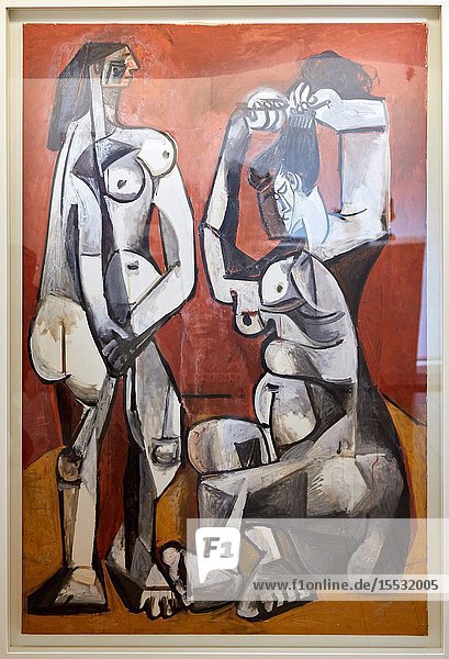 'Femmes á la toilette' 1956 Pablo Picasso Picasso Museum Paris France Europe