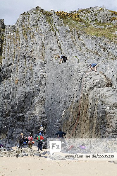 Group of adults rock climbing