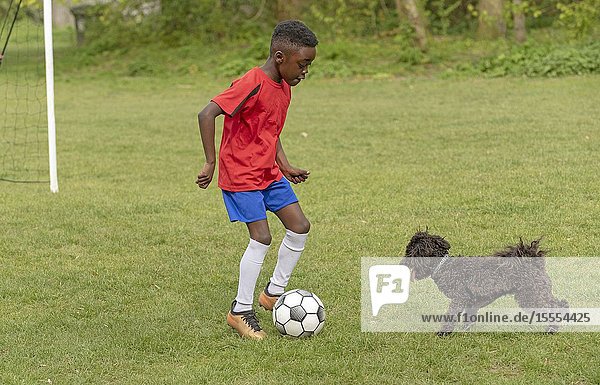 Hampshire, England, UK. April 2019. A young football player defending the goal during a traning session with his pet dog in a public park.
