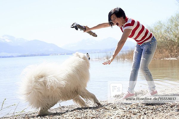 Woman playing with dog  at Herrenchiemsee  Chiemsee  Bavaria  Germany