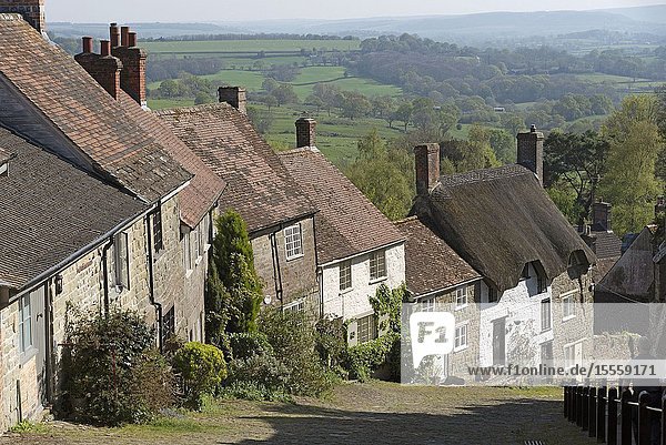 Shaftsbury, Dorset, England, UK. April 2019. Homes on the steep slope of Gold Hill in Shaftsbury, Dorset, UK a rural tourist attraction.