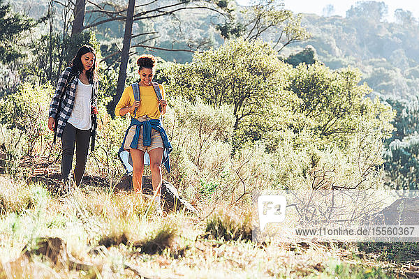 Young women friends hiking in sunny woods