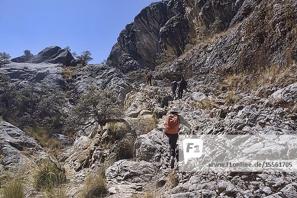 Hiking the beautiful Laguna Churup trail Huascaran National Park Huaraz Peru.
