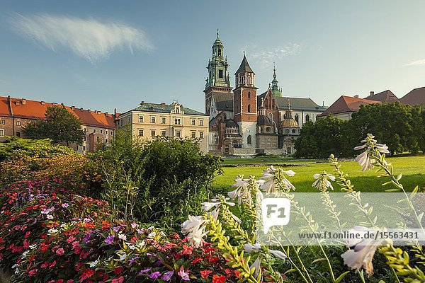 Summer morning at Wawel Royal Castle in Kraków Poland.