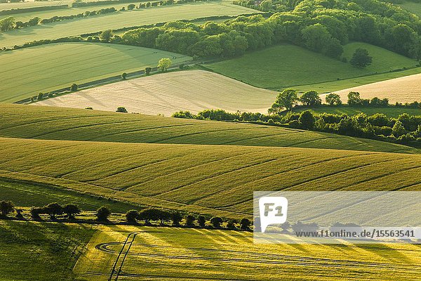 Summer in South Downs National Park West Sussex England.