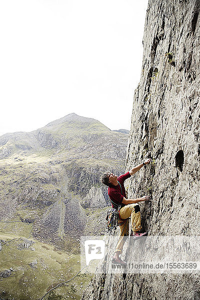 Männlicher Bergsteiger beim Erklimmen einer Felswand  Blick nach oben