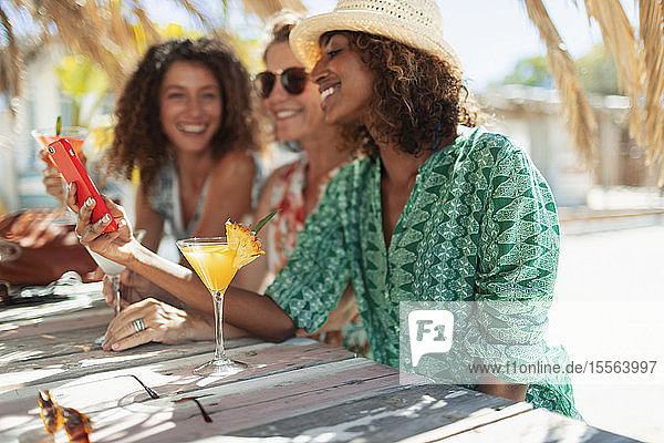 Glückliche Frauen  die ihr Smartphone benutzen und Cocktails an einer sonnigen Strandbar trinken