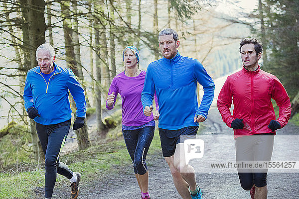 Familie joggt im Wald