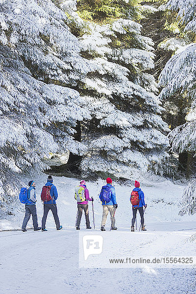 Family hiking in snowy woods