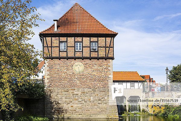 Luedinghausen D-Luedinghausen Stever Muensterland Westphalia North Rhine-Westphalia NRW Borgmuehle Borg Mill at the Stever Muehlenstever water mill *** Local Caption ***.