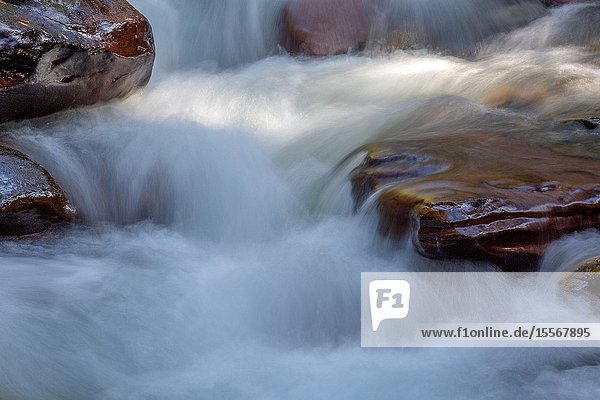 Lower Avalanche Gorge is one of the highlights of hikinh the Avalanche Lake trail in west Glacier Glacier National Park.