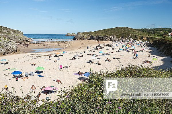 Borizo beach (Borizu in Asturian) is a beach that is located between the Spanish towns of Barro and Celorio (Asturias). It is framed on the beaches of the Eastern Coast of Asturias on the Costa Verde and is considered protected landscape from an environmental point of view (for its vegetation). For this reason it is integrated according to information from the Ministries of Agriculture Food and Environment in the Protected Landscape of the Eastern Coast of Asturias.