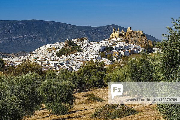 White village of Olvera Moorish castle & Church of Our Lady of the Incarnation. Pueblos Blancos de la Sierra de Cadiz. Southern Andalusia Spain. Europe.