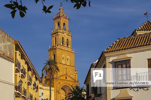 Gothic style Church of Santa María de la Mesa  Utrera. Sevilla province. Southern Andalusia  Spain. Europe.
