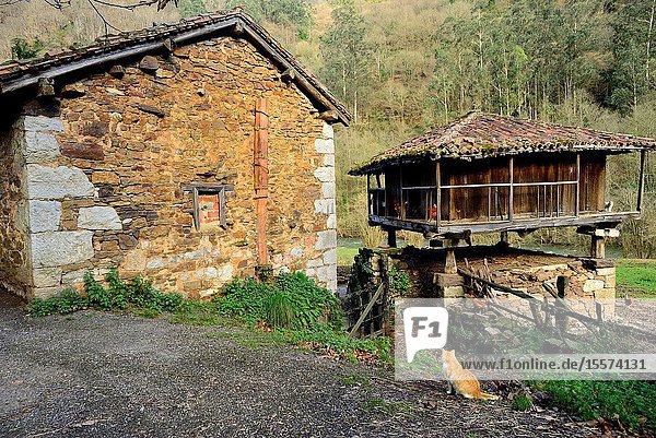 Traditional Asturian granary. Green Path of Trubia river or Bear's Path between Tuñon and San Andres Asturias Spain.