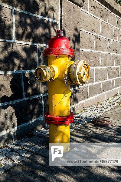 Fire hydrant iceland Reykjavik.
