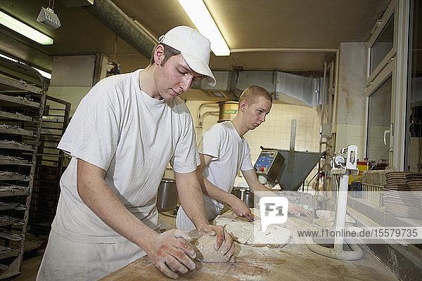 Germany  Bavaria  Munich  Bakers kneading dough