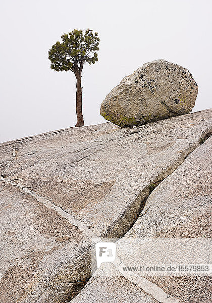 USA  Kalifornien  Blick auf felsige Landschaft  Baum und Felsbrocken