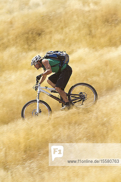 Portugal  Madeira  Erwachsener Mann fährt Mountainbike