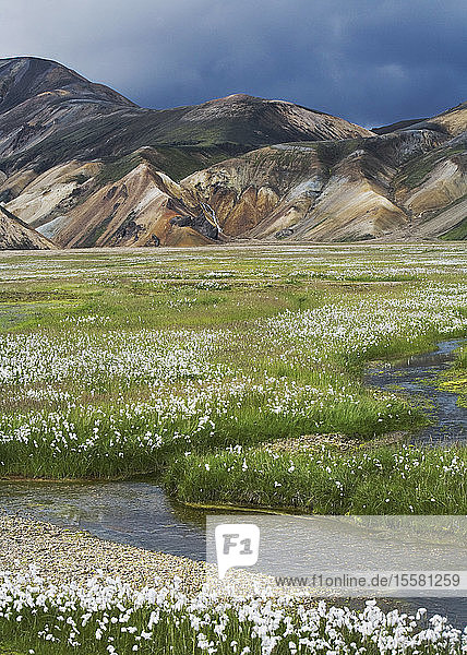 Island  Landmannalaugar  Blick auf Berge mit Blumen und Wiesen