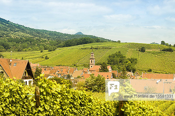 Frankreich Elsass Riquewihr Haut-Rhin Elsässische Weinstraße Riquewihr