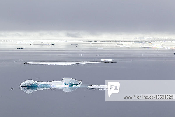 Europa  Norwegen  Spitzbergen  Svalbard  Blick auf kleinen Eisberg auf dem Wasser