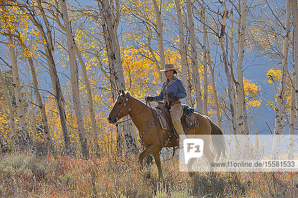 USA  Wyoming  Big Horn Mountains  riding cowgirl in autumn