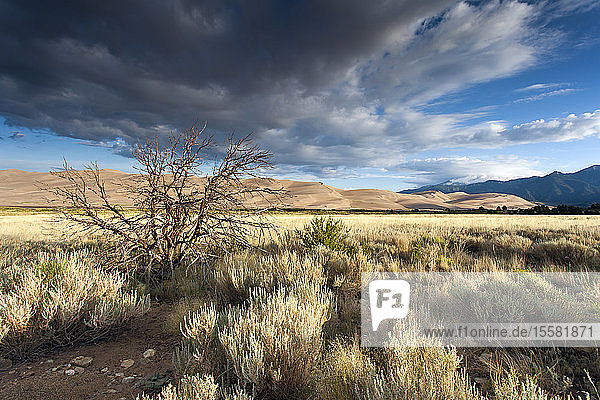 USA Colorado Great Sand Dunes National Park and Preserve