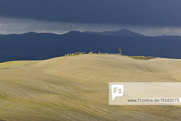 Italien, Toskana, Provinz Siena, Crete Senesi, Landschaft, Italien, Toskana, Provinz Siena, Crete Senesi, Landschaft