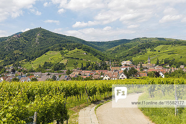Frankreich Elsass Ribeauville