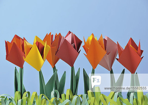 Origami tulips against blue background
