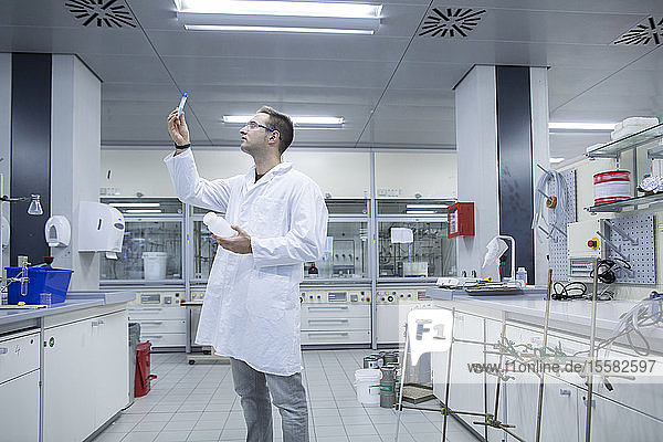 Chemiker  der im Labor arbeitet und ein Reagenzglas betrachtet