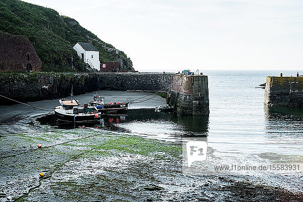 Blick auf den kleinen Hafen von Porthgain an der Küste von Pembrokeshire  Wales  Großbritannien.