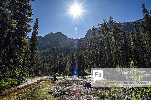 Woman wading through river by Sawtooth Mountains in Stanley  Idaho  USA