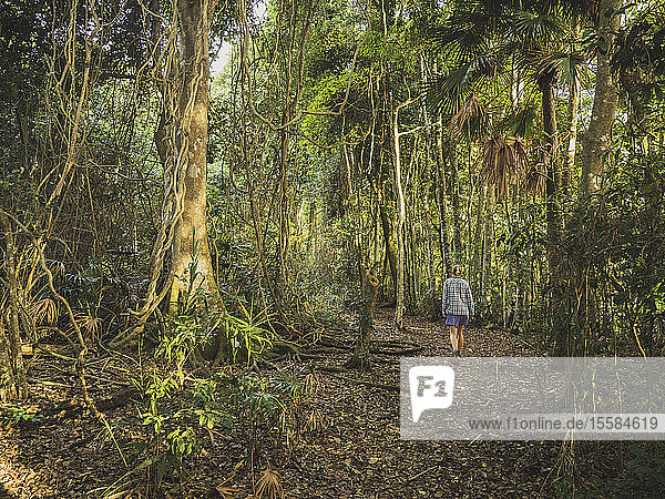Woman walking in forest in Myall Lakes National Park  Australia