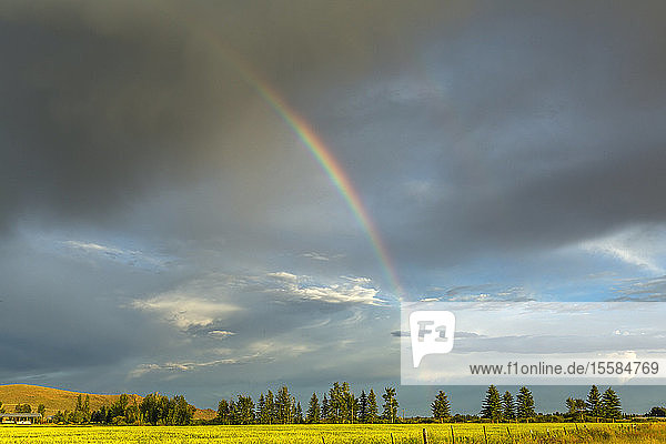 Regenbogen über einem Feld in Picabo  Idaho  USA