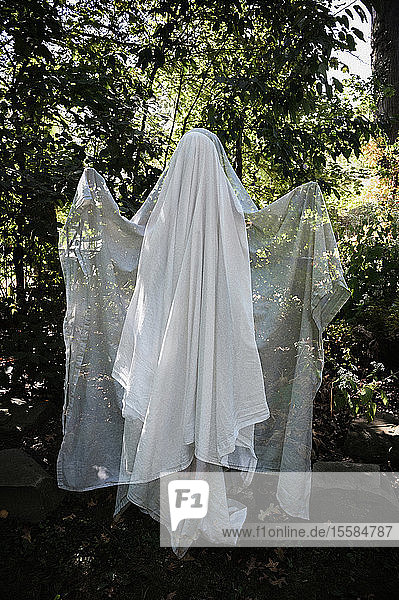Ghost in forest