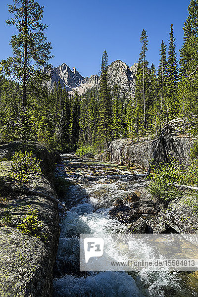 Fluss und Wald bei den Sawtooth Mountains in Stanley  Idaho  USA