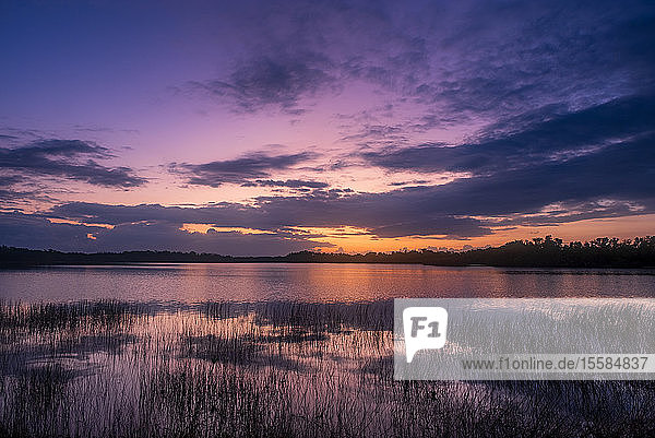 Fluss unter violettem Himmel bei Sonnenuntergang im Everglades National Park  Florida  USA