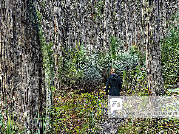 Woman walking in forest in South Australia  Australia