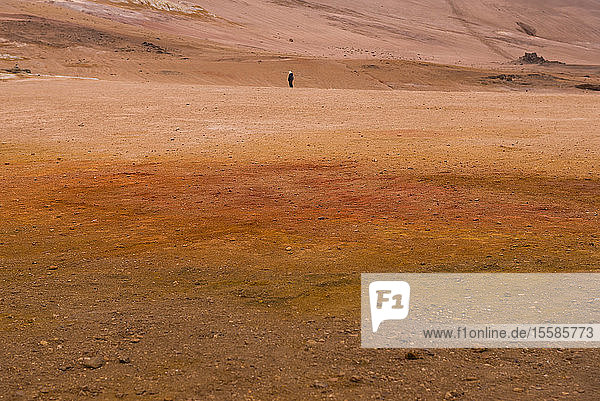 Fernblick eines männlichen Touristen in geothermischer Landschaft  Namaskard hverir  Myvatn  Island